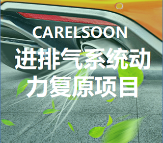 汽車(chē)動(dòng)力復(fù)原項(xiàng)目